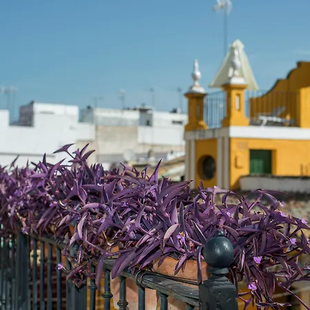 Casas De La Judería Sevilha