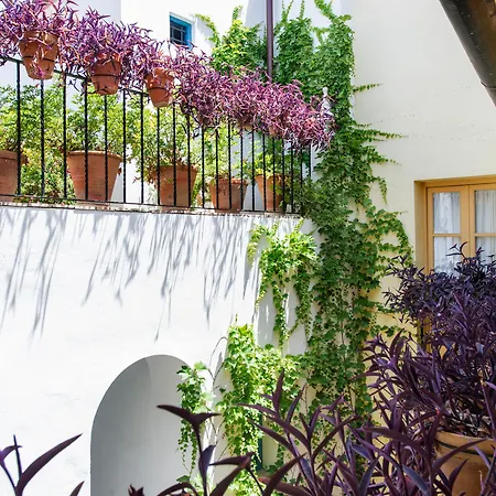 Casas De La Juderia Hotel Seville